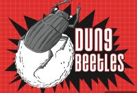Bizarre Bites: Cooking and Tasting Dung Beetles