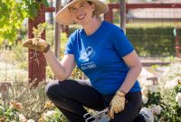 Natural Weed Control: Complete Guide to Organic Yard Weed Management