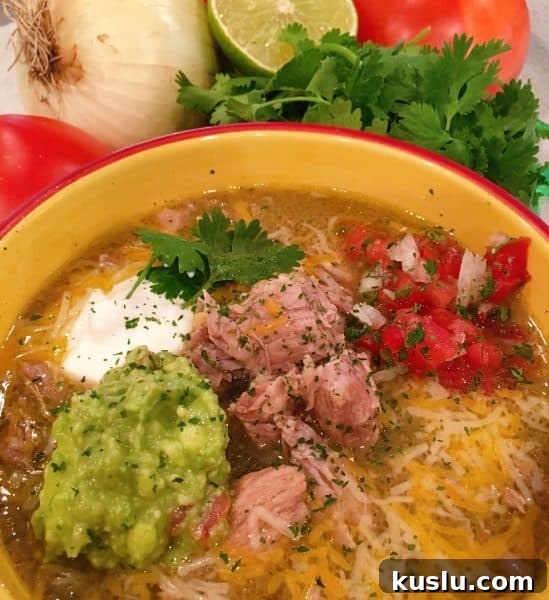 Instant Pot Chili Verde in a large bowl