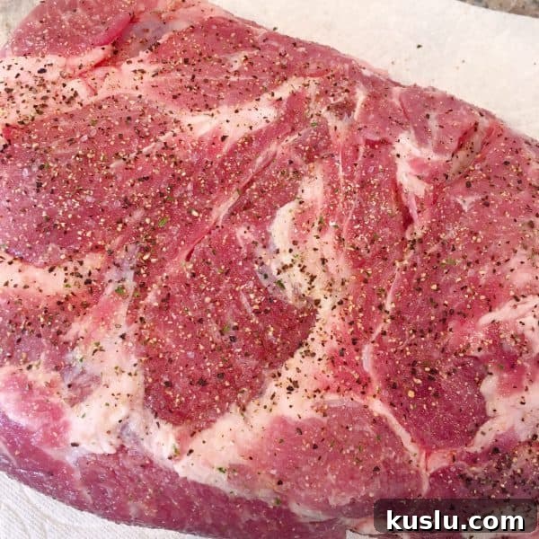 Pork Butt Shoulder Roast seasoned 