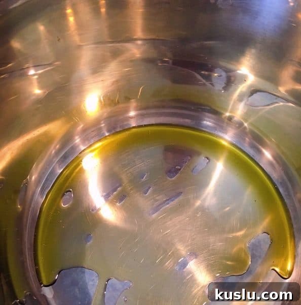 Instant Pot with Oil for cooking pork 