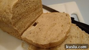 Prepared Pantry Sour Cream Bread Mix: Review & Baking Tips 4 New York Dill Rye