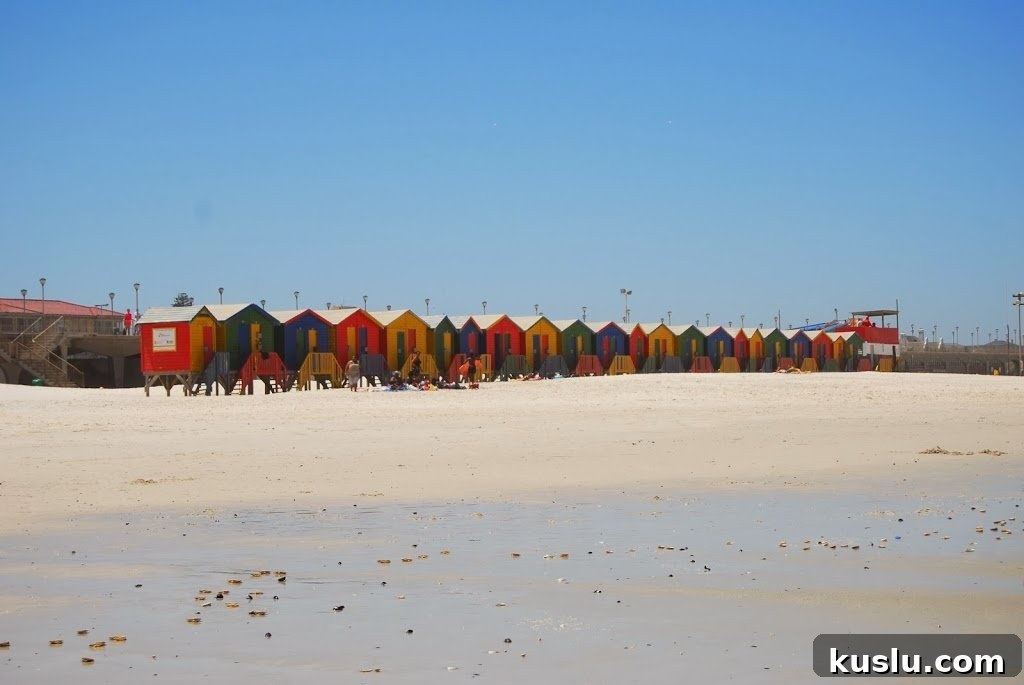A Duck's Oven: Our visit to Muizenberg Beach just outside of Cape Town, South Africa