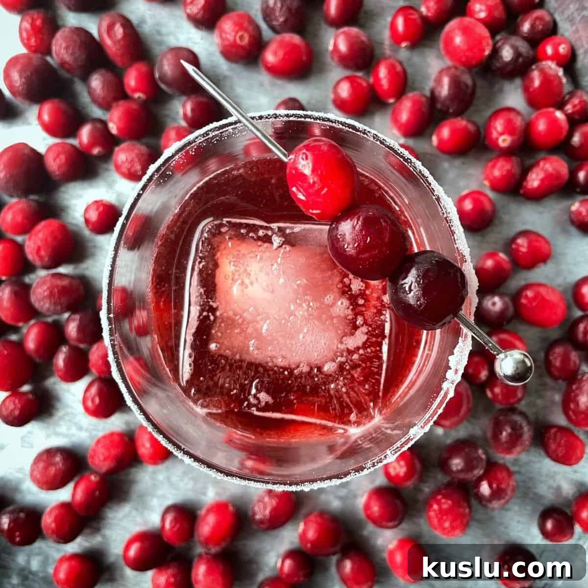 Overhead view of a cranberry negroni surrounded by fresh cranberries.