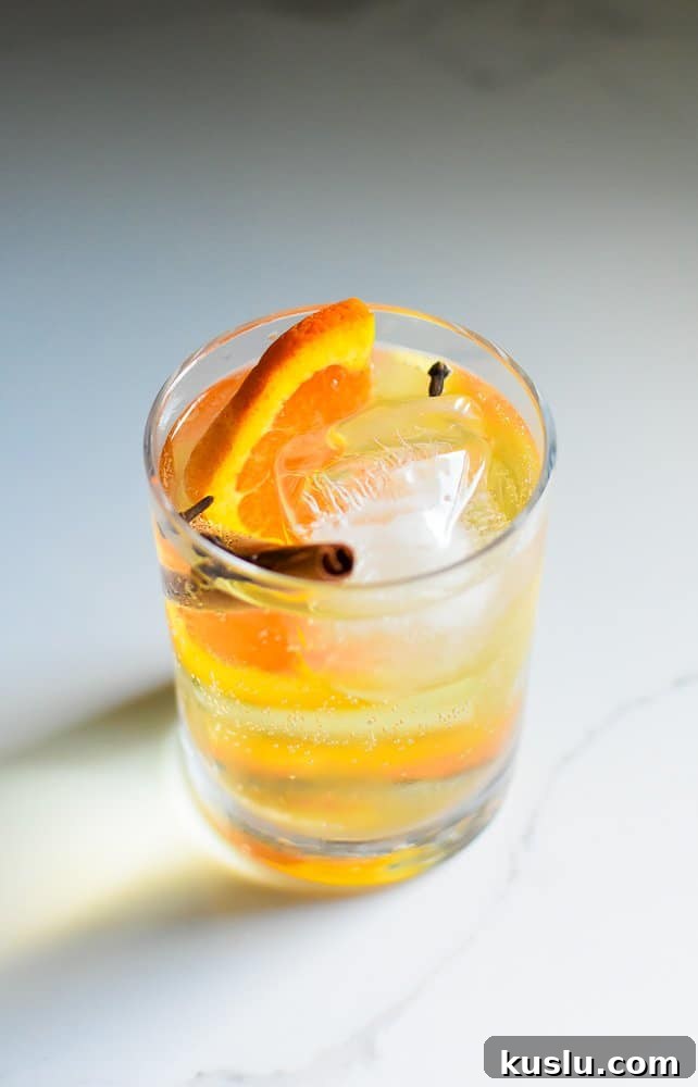 A fall gin and tonic cocktail garnished with an orange slice and cinnamon stick.