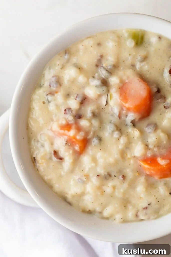 bowl of creamy chicken and rice soup 