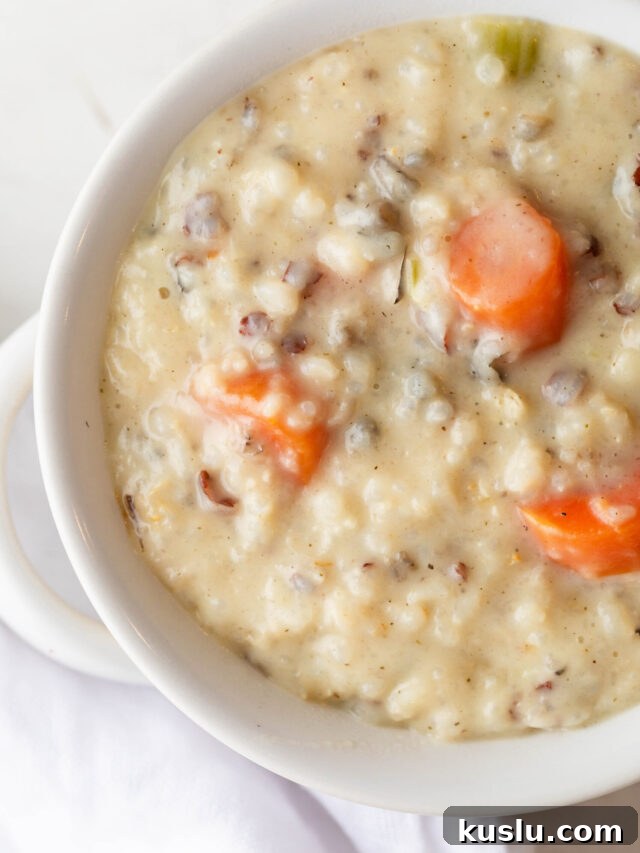 creamy-chicken-wild-rice-soup-2