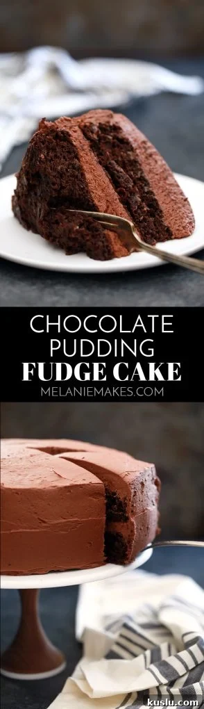 Not only is this Chocolate Pudding Fudge Cake rich, decadent and delicious but it's also incredibly easy. A store bought chocolate cake mix is dressed up with chocolate pudding, yogurt and applesauce to create the most moist chocolate cake. Using just seven ingredients, this cake is ready for the oven in under 10 minutes.