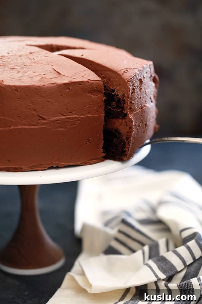 Chocolate Pudding Fudge Cake slice