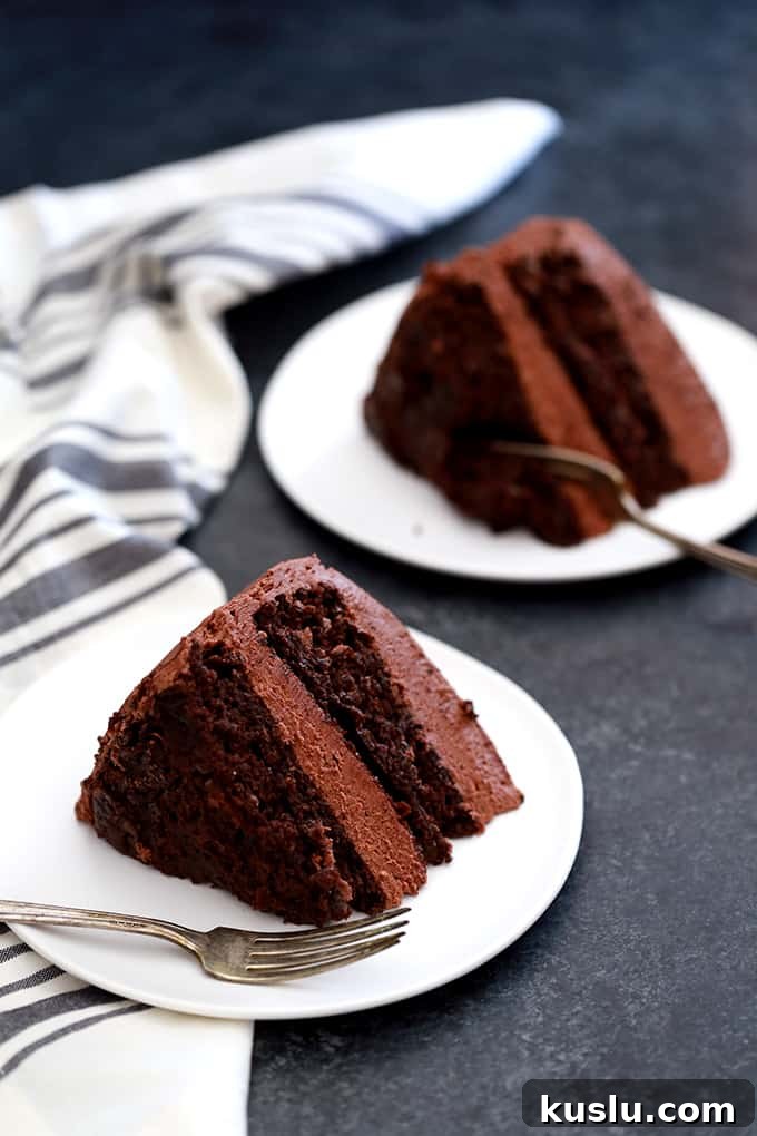 Chocolate Pudding Fudge Cake top view