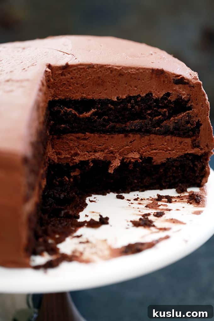 Chocolate Pudding Fudge Cake plated