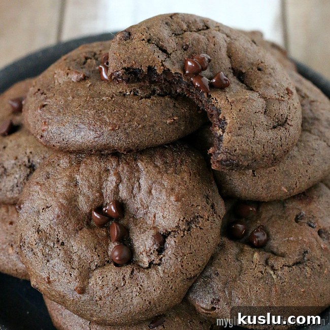 Gluten-free Banana Chocolate Chip Cookie Recipe