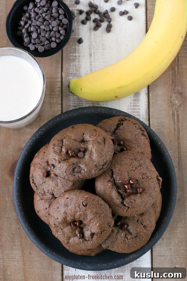Gluten-free Chocolate Banana Cookies