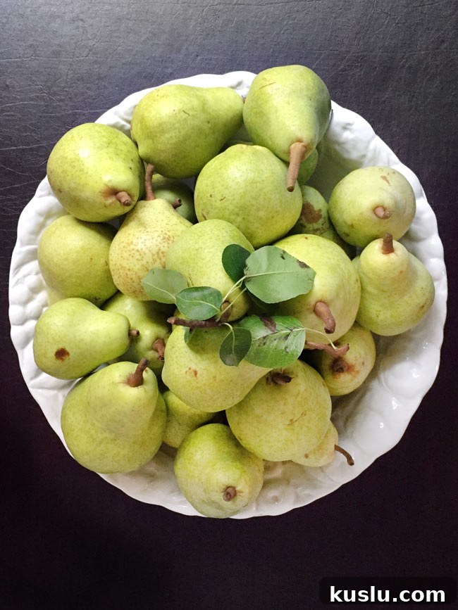 Olive Oil Pear Cake with Ginger and Cinnamon Crumble 3 Fresh pears in white bowl.