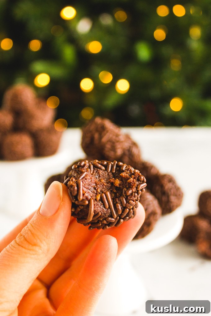Date Sweetened Rum Balls - Soft, chocolate-y, boozy balls coated in chocolate sprinkles.