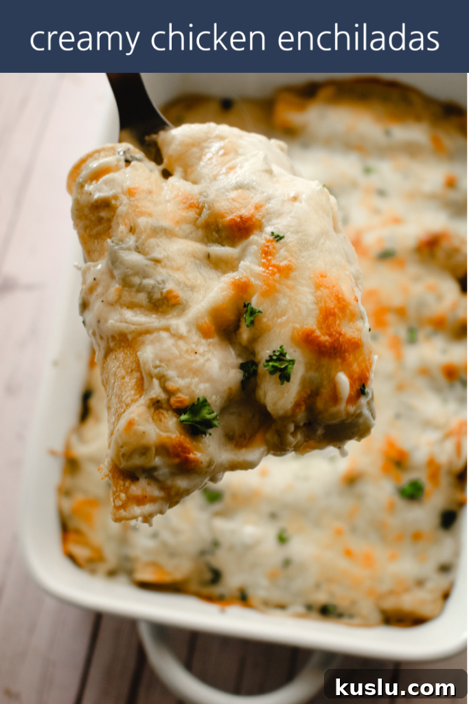 Creamy Chicken Enchiladas