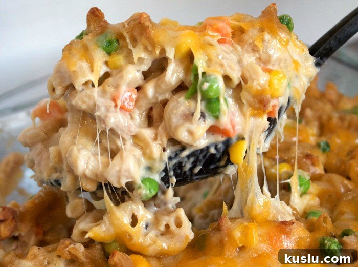 High protein, macro friendly tuna casserole
