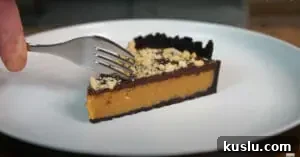 Salted Caramel and Peanut Butter Tart Recipe for Indulgent Dessert 12 Salted Caramel Peanut Butter Tart Serve