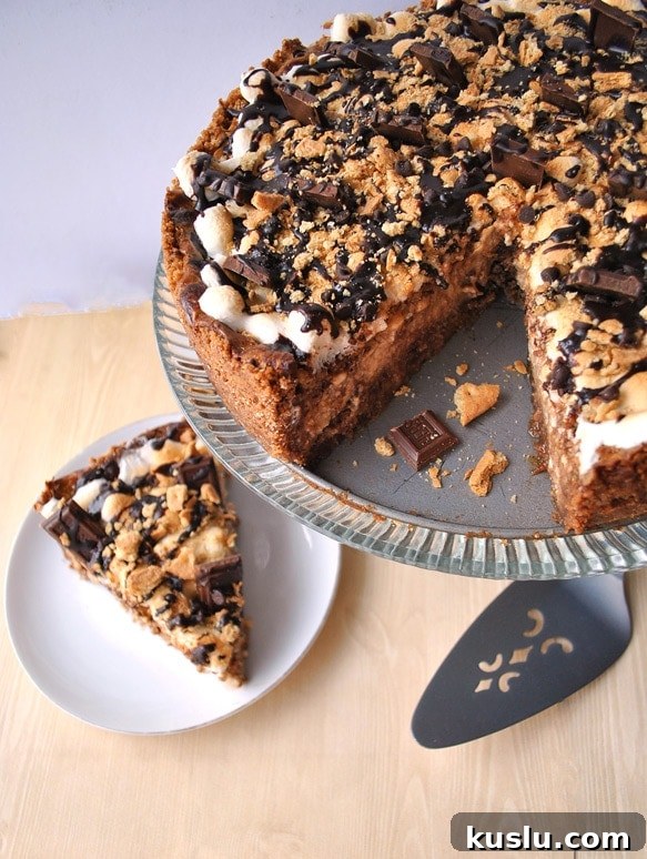 smores cheesecake