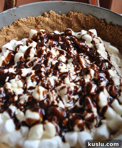 smores cheesecake