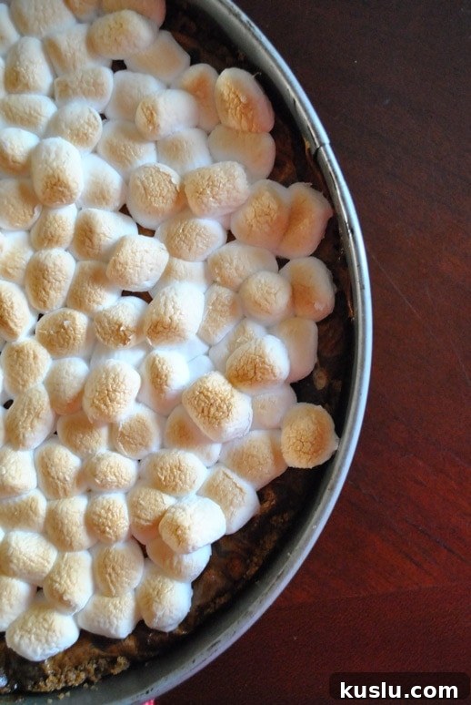 smores cheesecake