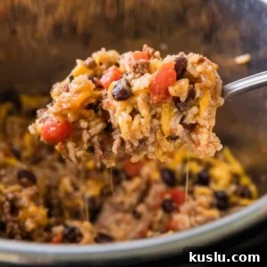 instant pot ground beef and rice