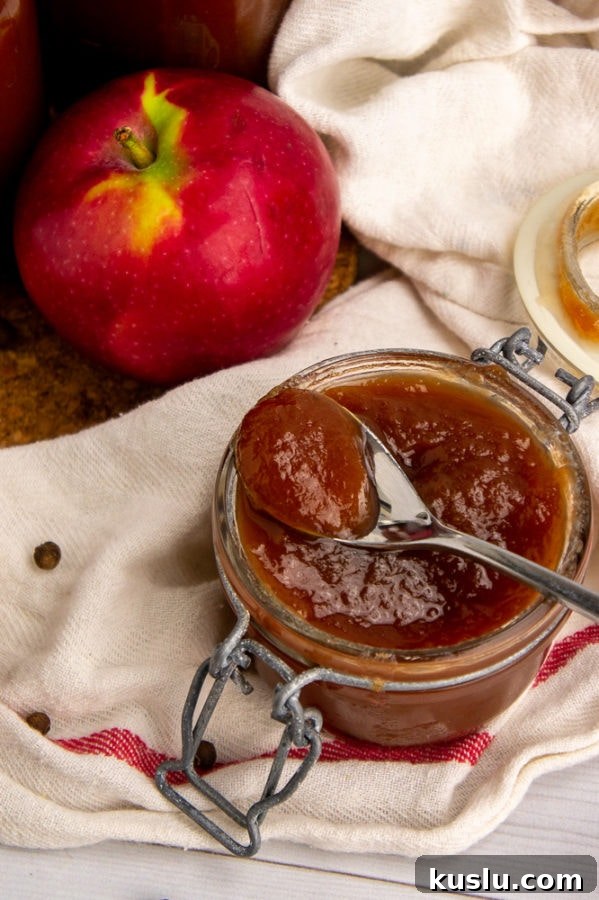 Slow Cooker Apple Butter Recipe for Canning and Preserving 2 a jar of apple butter with a spoon resting across it on a white towel with a red stripe