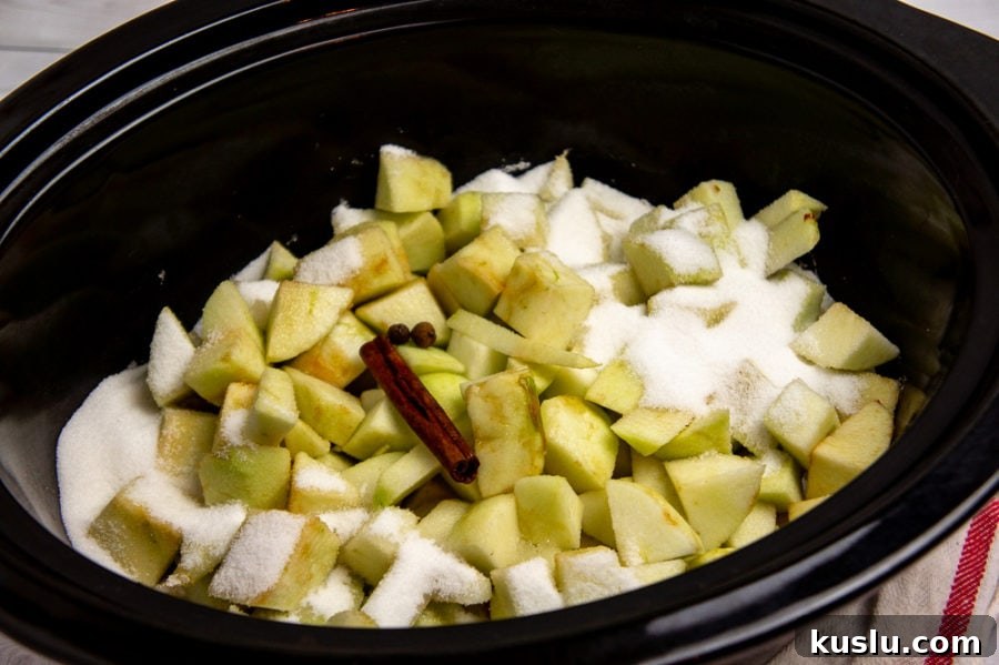 Slow Cooker Apple Butter Recipe for Canning and Preserving 5 a slow cooker with apples, sugar, and cinnamon