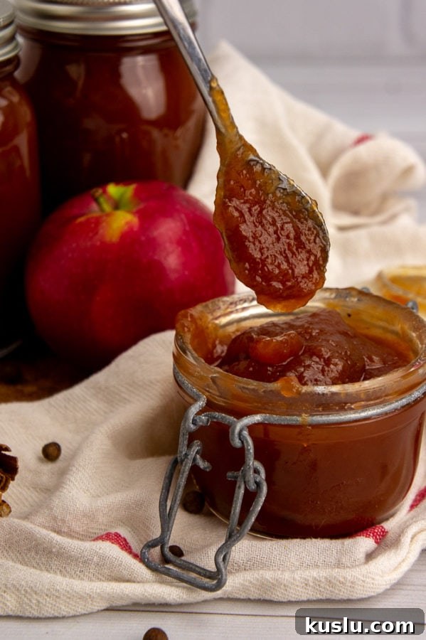 Slow Cooker Apple Butter Recipe for Canning and Preserving 7 apple butter dropping from a spoon