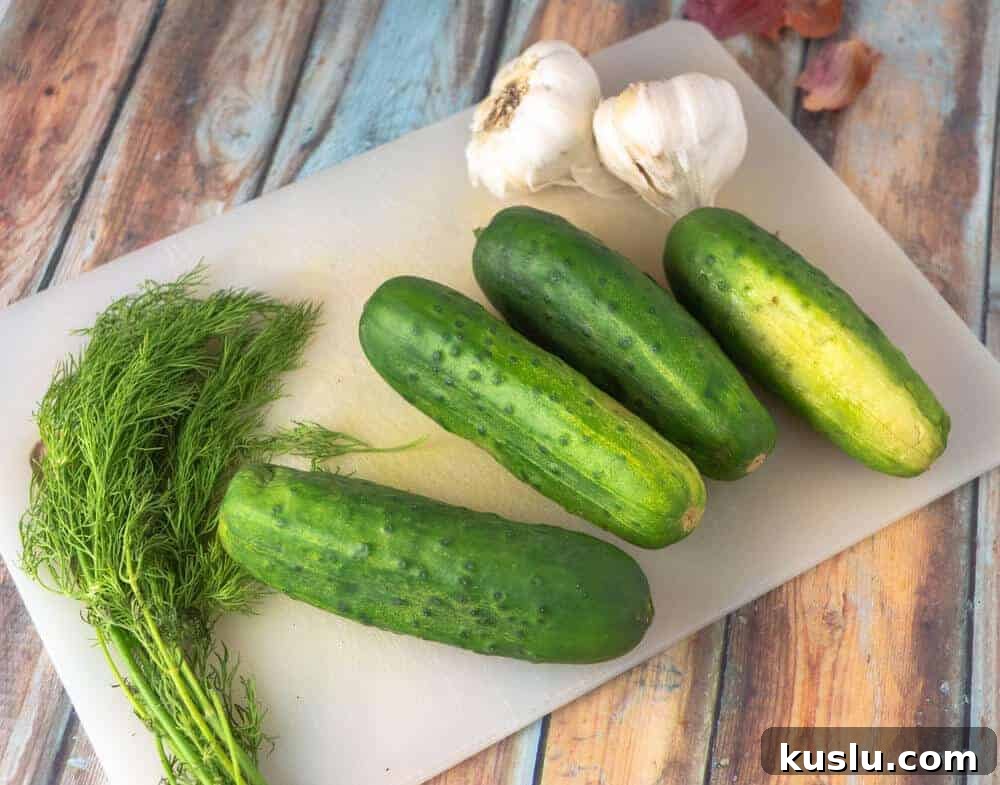 Quick Refrigerator Pickles: Simple No-Cook Dill Recipe 3 Fresh cucumbers, garlic, and dill for homemade pickles - Ingredients for easy refrigerator pickles: fresh Kirby cucumbers, garlic bulbs, and dill sprigs on a cutting board. Perfect for a quick pickle recipe.