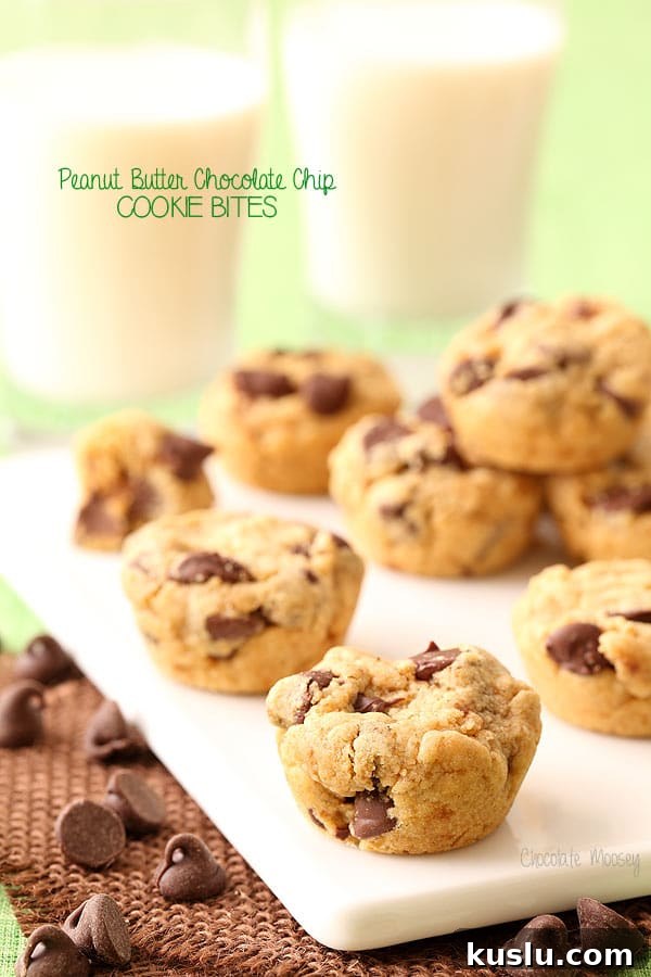Peanut Butter Chocolate Chip Cookie Bites Recipe — Bite-Sized Treats 2 Peanut Butter Chocolate Chip Cookie Bites for Chocolate Peanut Butter Day