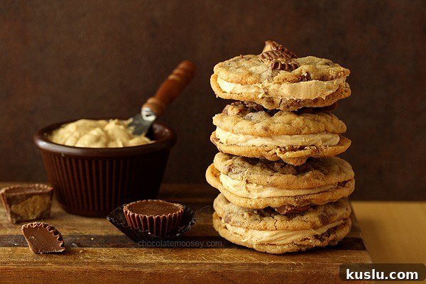 Peanut Butter Chocolate Chip Cookie Bites Recipe — Bite-Sized Treats 11 img 14429 10