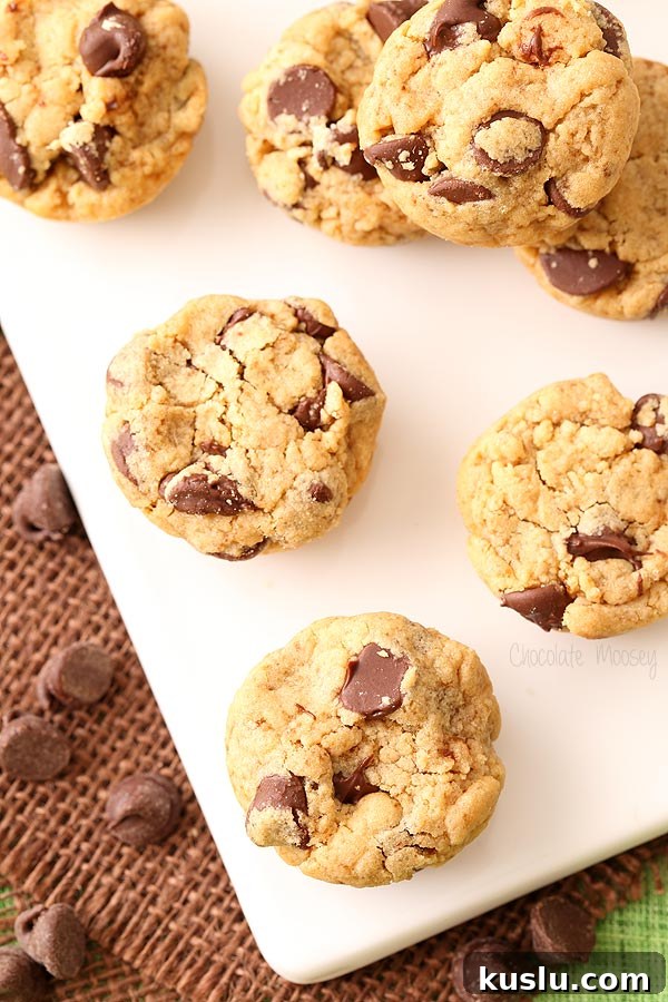 Peanut Butter Chocolate Chip Cookie Bites Recipe — Bite-Sized Treats 4 Peanut Butter Chocolate Chip Cookie Bites for Chocolate Peanut Butter Day