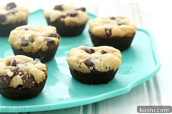 Peanut Butter Chocolate Chip Cookie Bites Recipe — Bite-Sized Treats 7 img 14429 6
