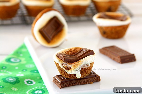 Peanut Butter Chocolate Chip Cookie Bites Recipe — Bite-Sized Treats 9 img 14429 8