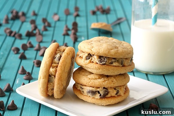Peanut Butter Chocolate Chip Cookie Bites Recipe — Bite-Sized Treats 10 img 14429 9