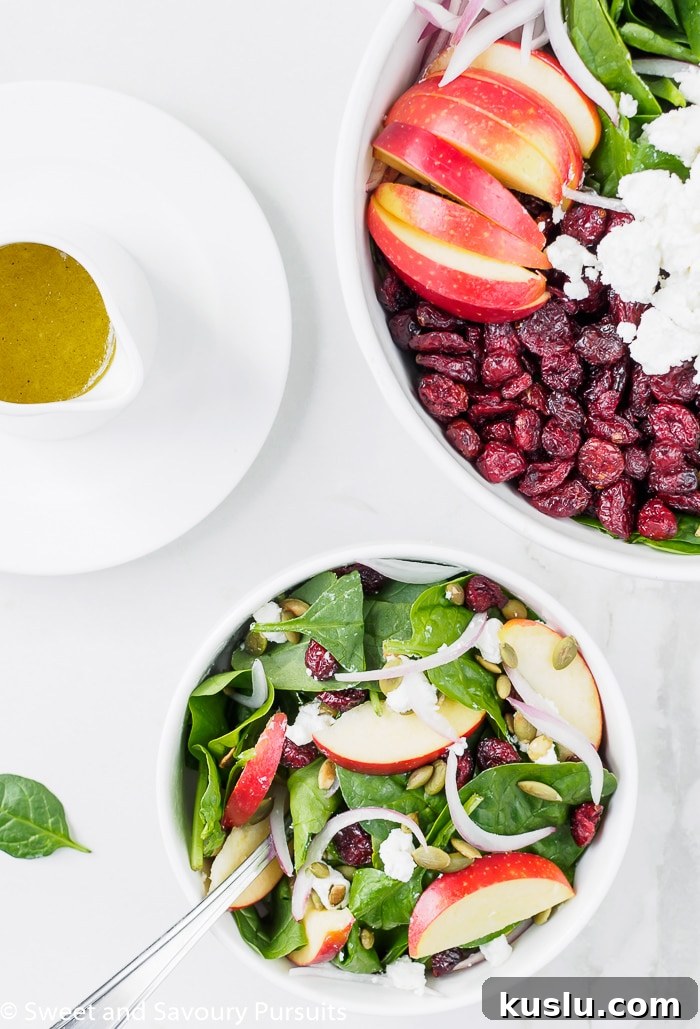 Spinach Salad with Apples and Cranberries: Sweet & Tangy Recipe 2 Bowl of Spinach Apple Cranberry Salad with Pumpkin Seeds served with Apple Cider Vinaigrette on the side.