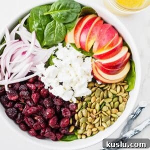 Spinach Salad with Apples and Cranberries: Sweet & Tangy Recipe 5 Top view of spinach, apple and cranberry salad.