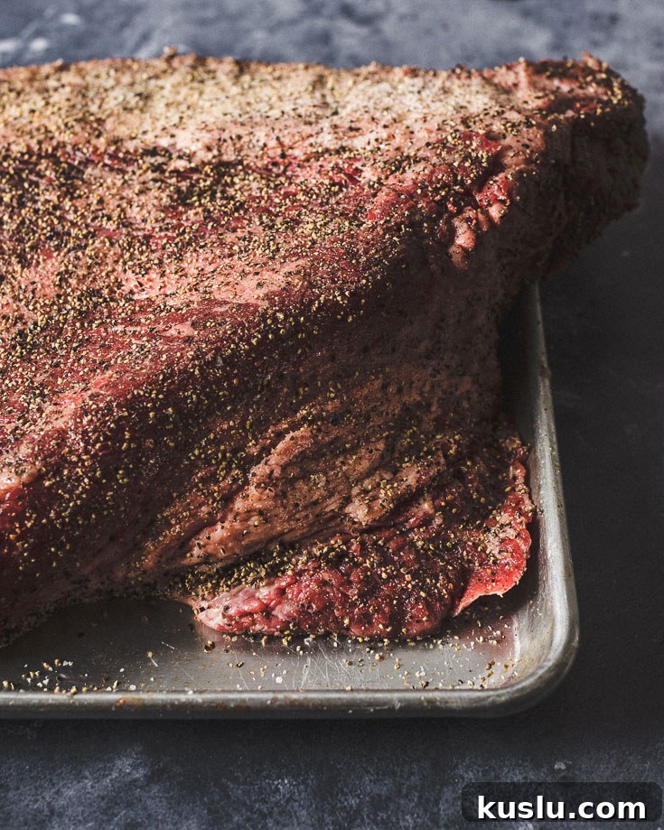 prime grade brisket point seasoned