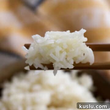 Perfect Rice in the Instant Pot -Easily prepare perfect rice for maximum absorption and nutrition in your electric pressure cooker. Instructions for both soaked rice and regular rice.