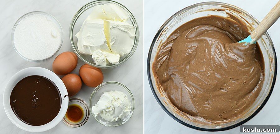 Mini Chocolate Cheesecake Bites Recipe — No-Bake Dessert 5 Ingredients for chocolate cheesecake batter.