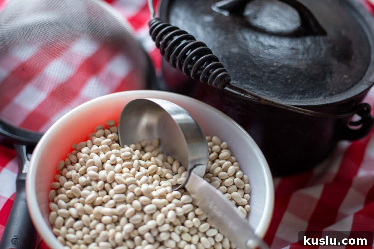 Scratch-Made Baked Beans Recipe for Rich, Slow-Cooked Flavor 3 White uncooked beans in bowl with measuring pot and cast iron pot in background.