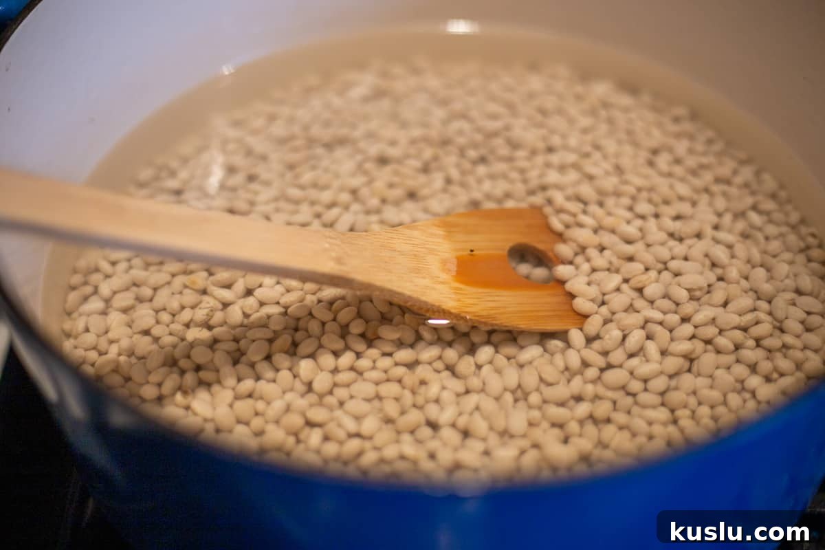 Scratch-Made Baked Beans Recipe for Rich, Slow-Cooked Flavor 4 Unooked baked beans in blue pot with wooden spoon.