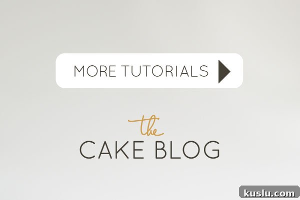 DIYs and Cake Tutorials on TheCakeBlog.com