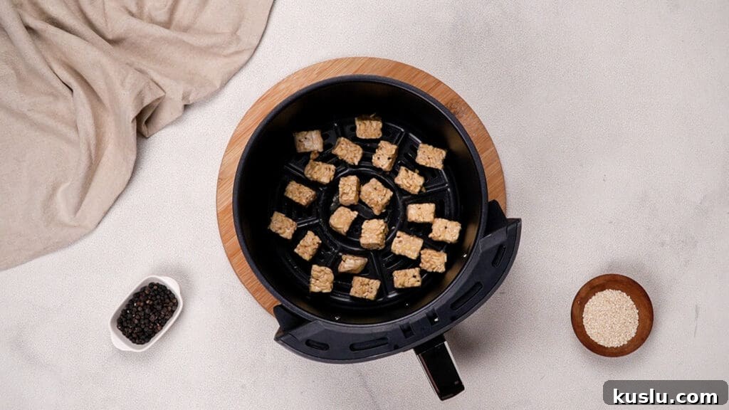 tempeh in air fryer
