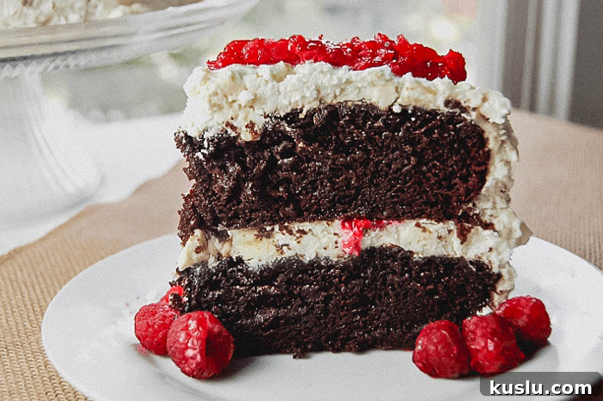 Ultimate Moist Chocolate Cake Recipe for Rich, Tender Slices 2 A slice of chocolate cake on a plate with raspberries.
