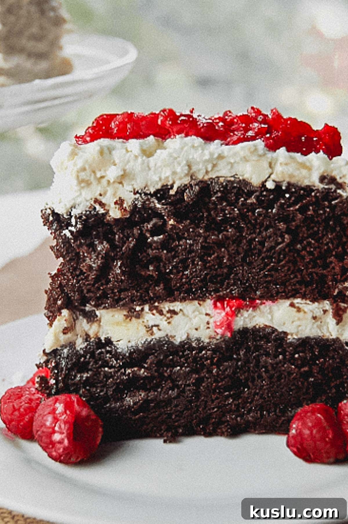 Ultimate Moist Chocolate Cake Recipe for Rich, Tender Slices 3 img 1708 2