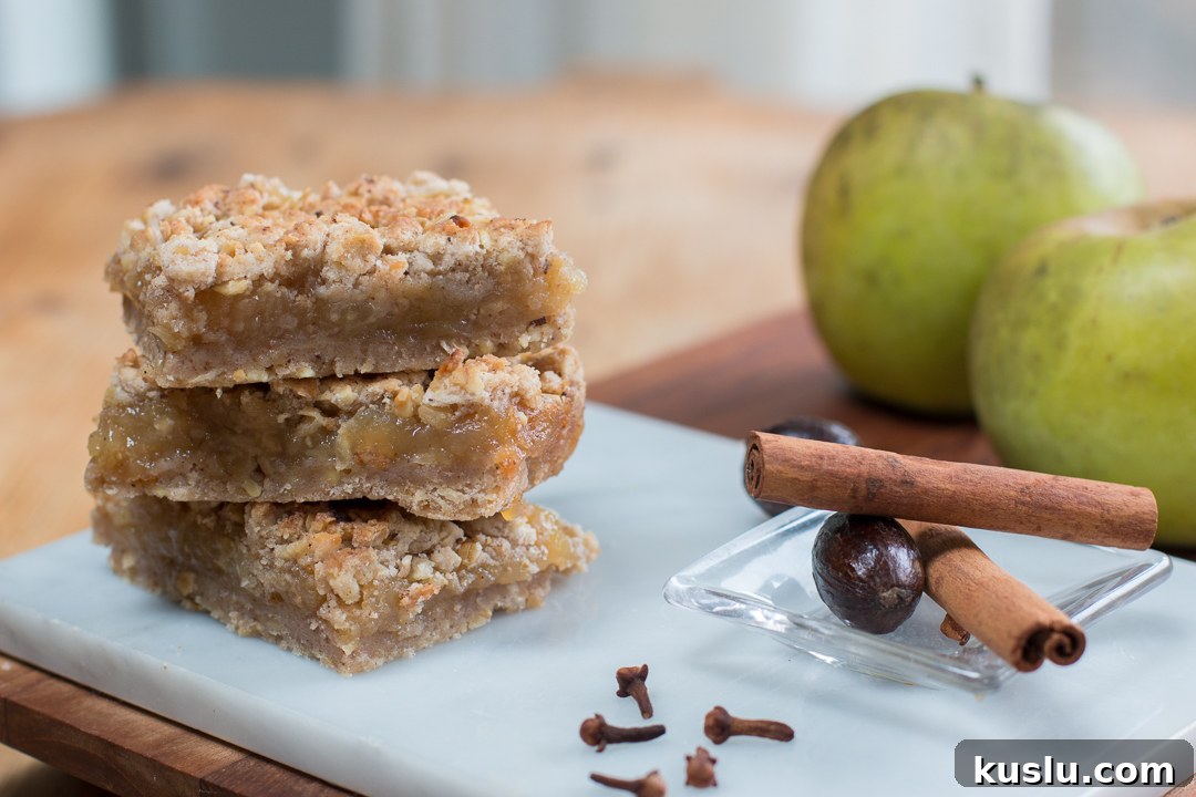 Applesauce Linzer Bars (Gluten-Free Variation as well)