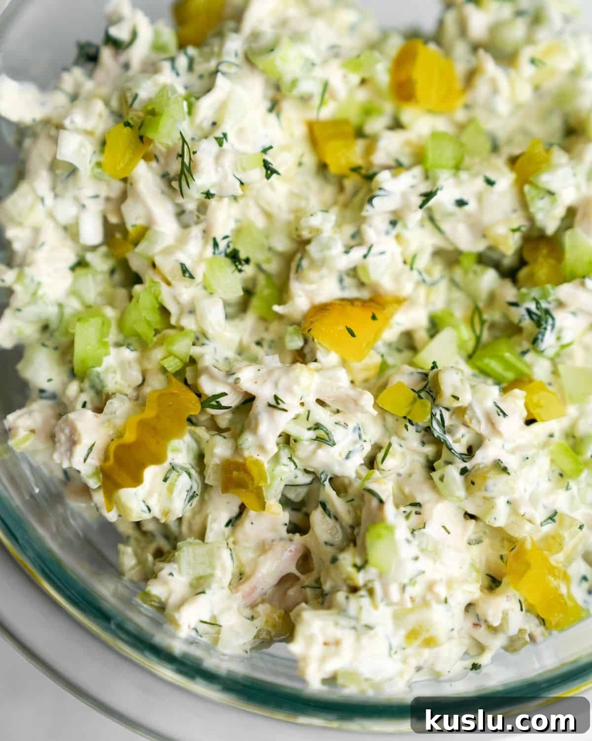 Dill Pickle Chicken Salad Recipe — Tangy Creamy Lunch Idea 2 chicken salad in a bowl in chunks of pickles