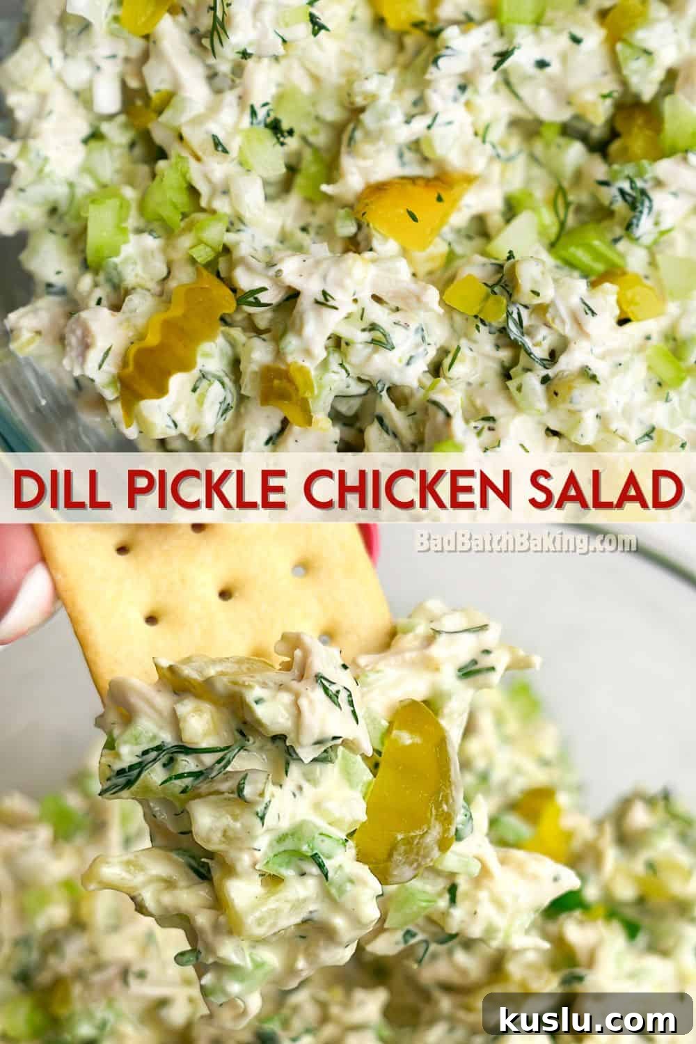 Dill Pickle Chicken Salad Recipe — Tangy Creamy Lunch Idea 10 dill pickle chicken salad